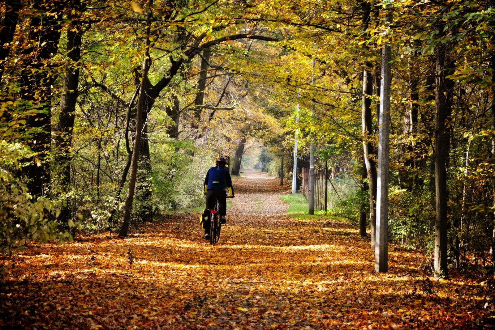 bike trips in poland