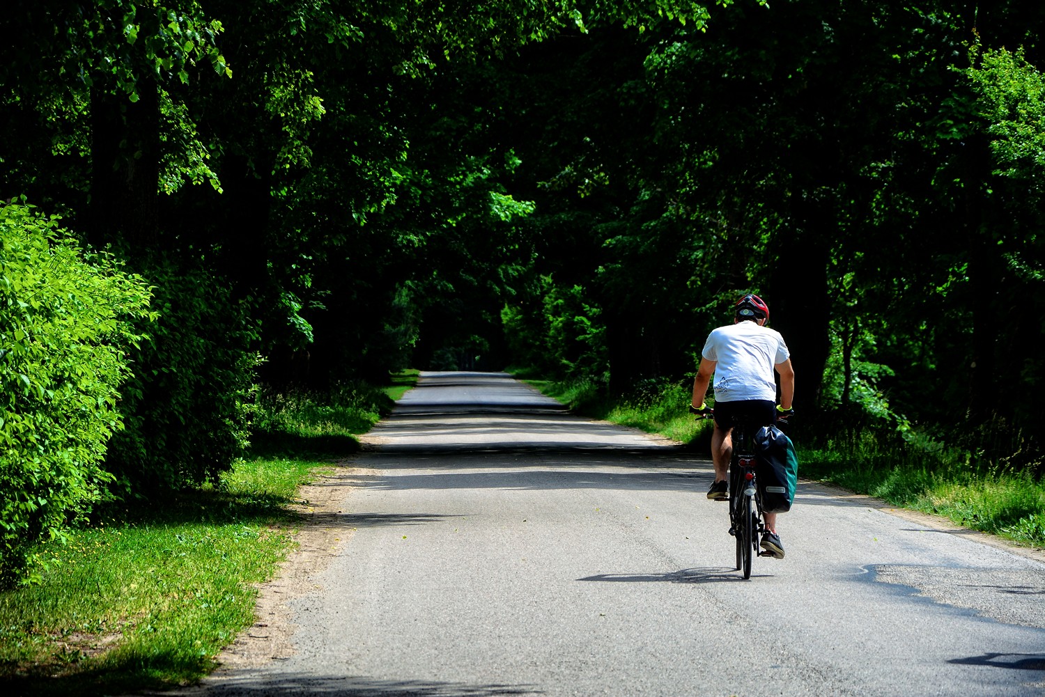 Polish bike trails – Green Velo, Bory Tucholskie and more