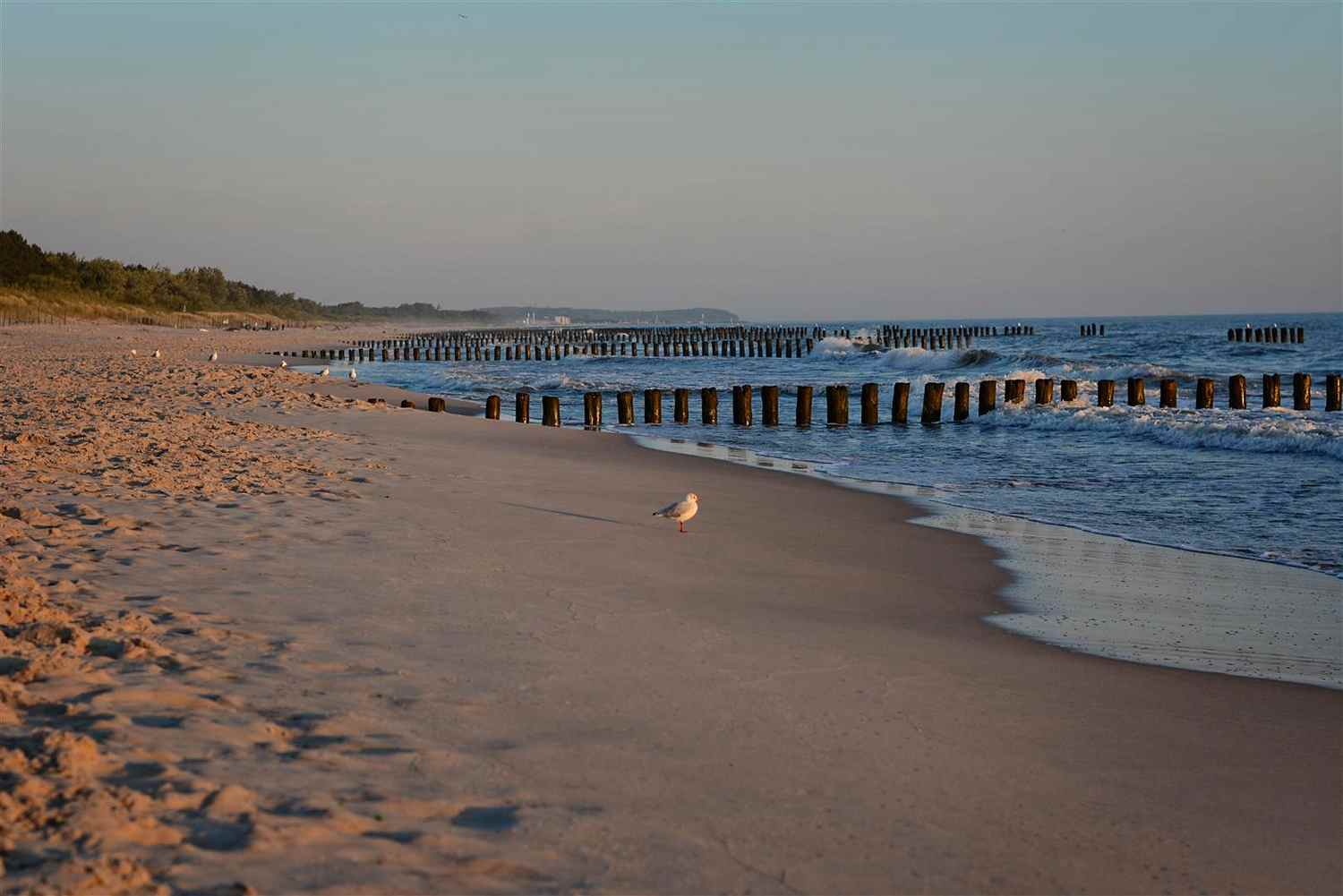 hel peninsula summer at polish sea