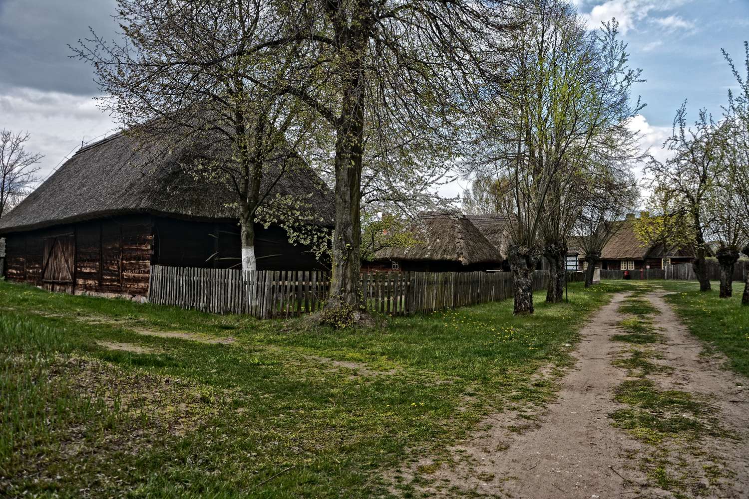 witcher polish villages velen