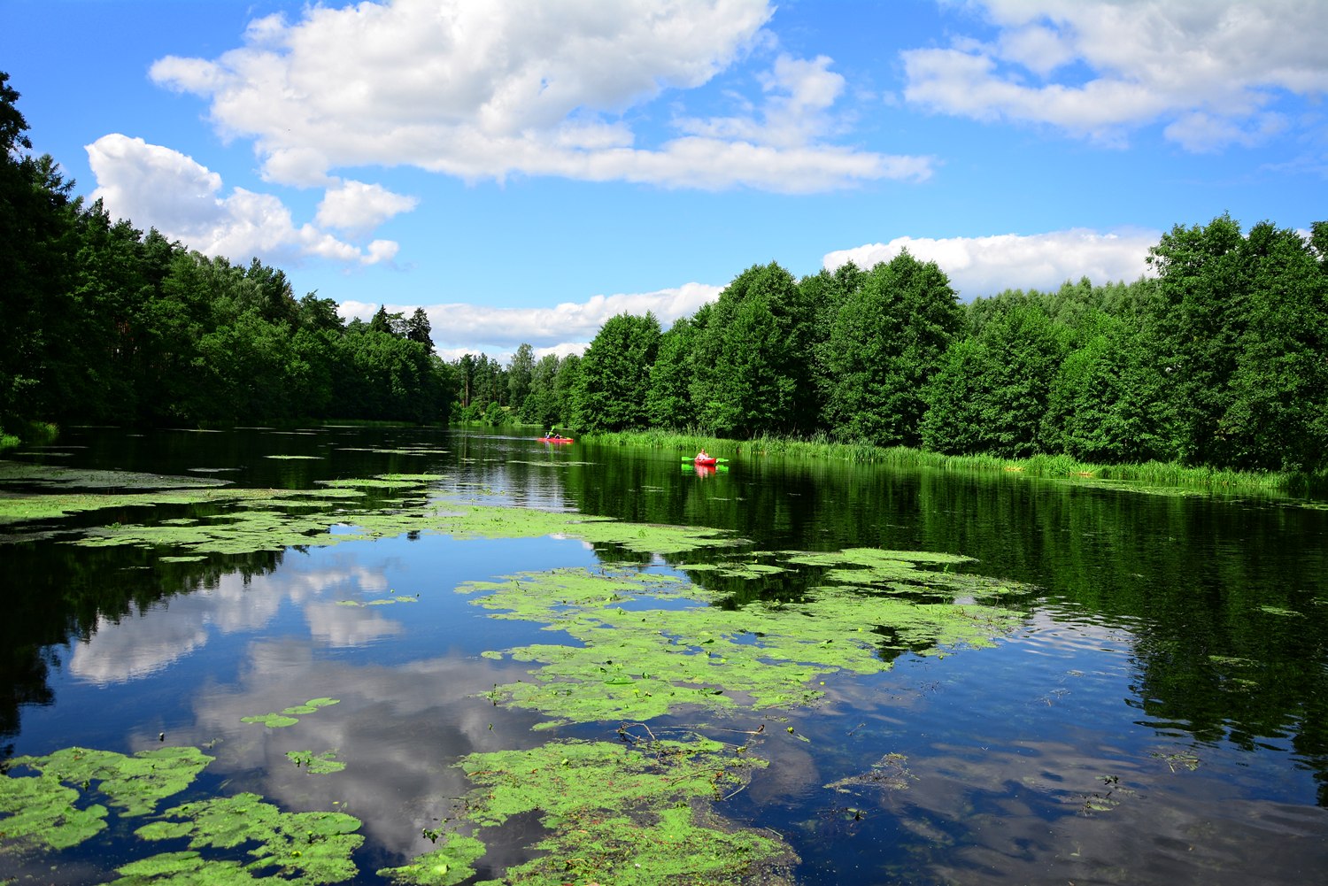 kayaking in poland river wda clear river in poland