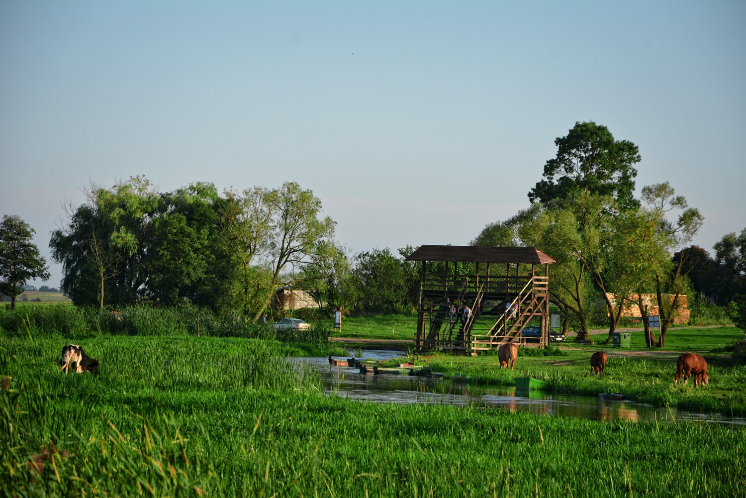 Green Velo poland narew river narew national park waniewo