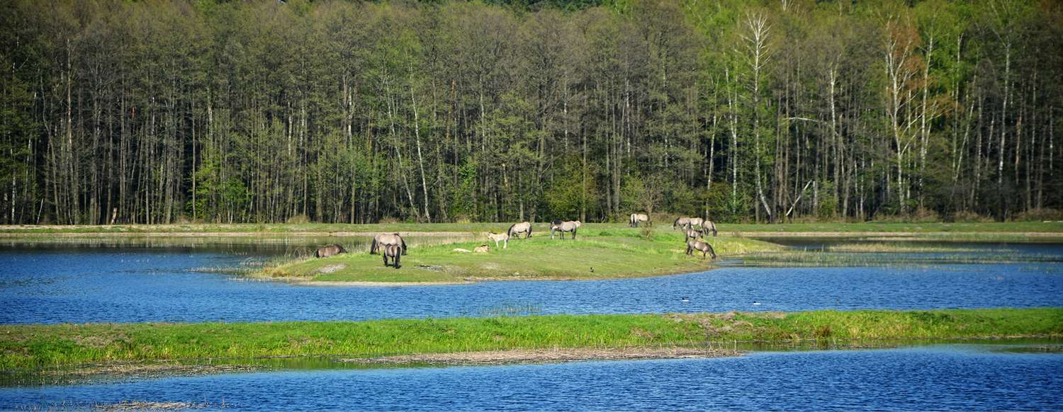 Family holidays poland