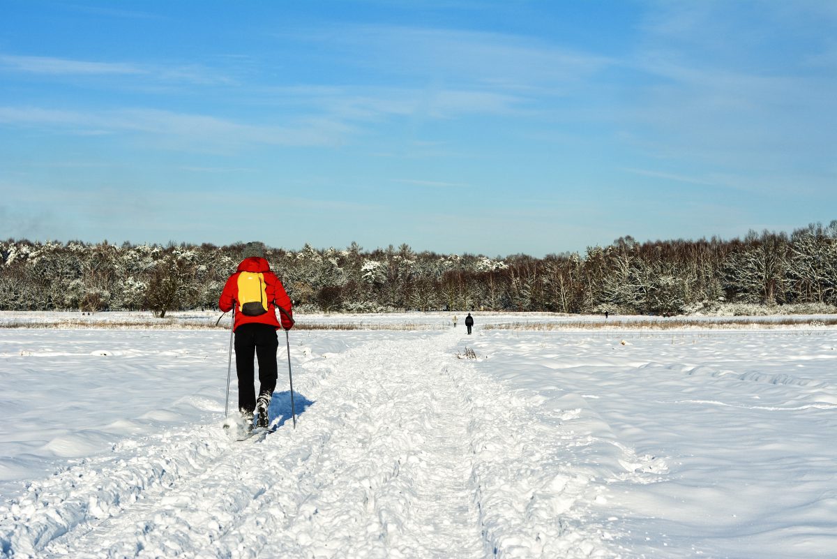 off the beaten track in warsaw cross country sking