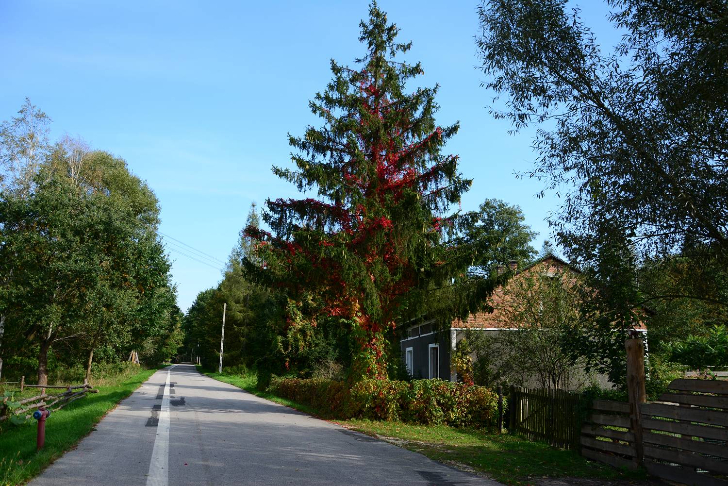 kampinos national park