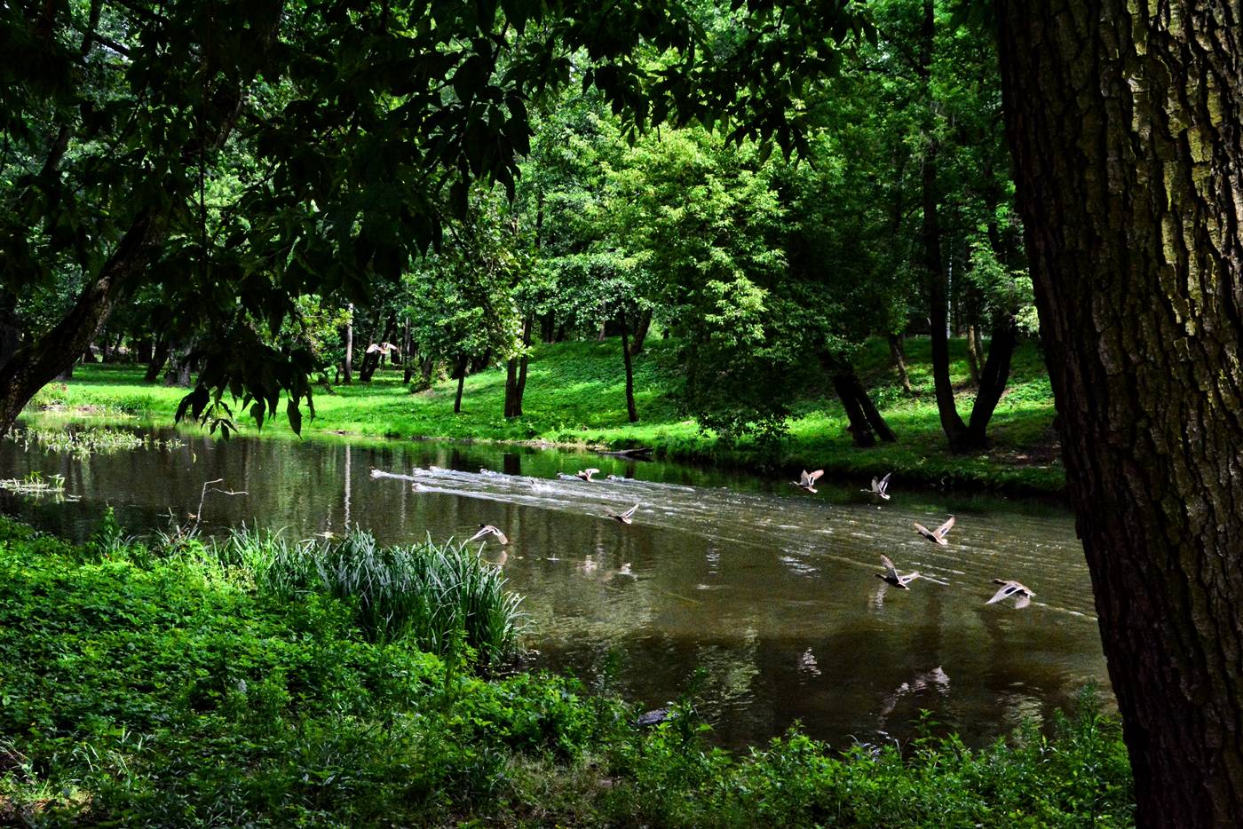 Warsaw kayaks konstancin by kayak park in konstancin