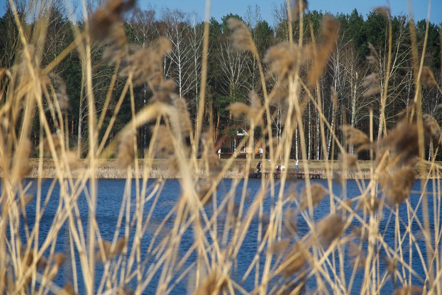 lakes around Warsaw zegrze lake zalew zegrzynski one day trip around warsaw