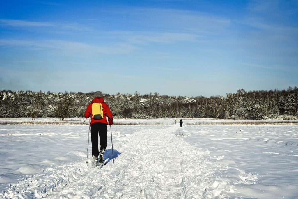 Cross country skiing in Warsaw. Where to rent skis. - Plan Poland