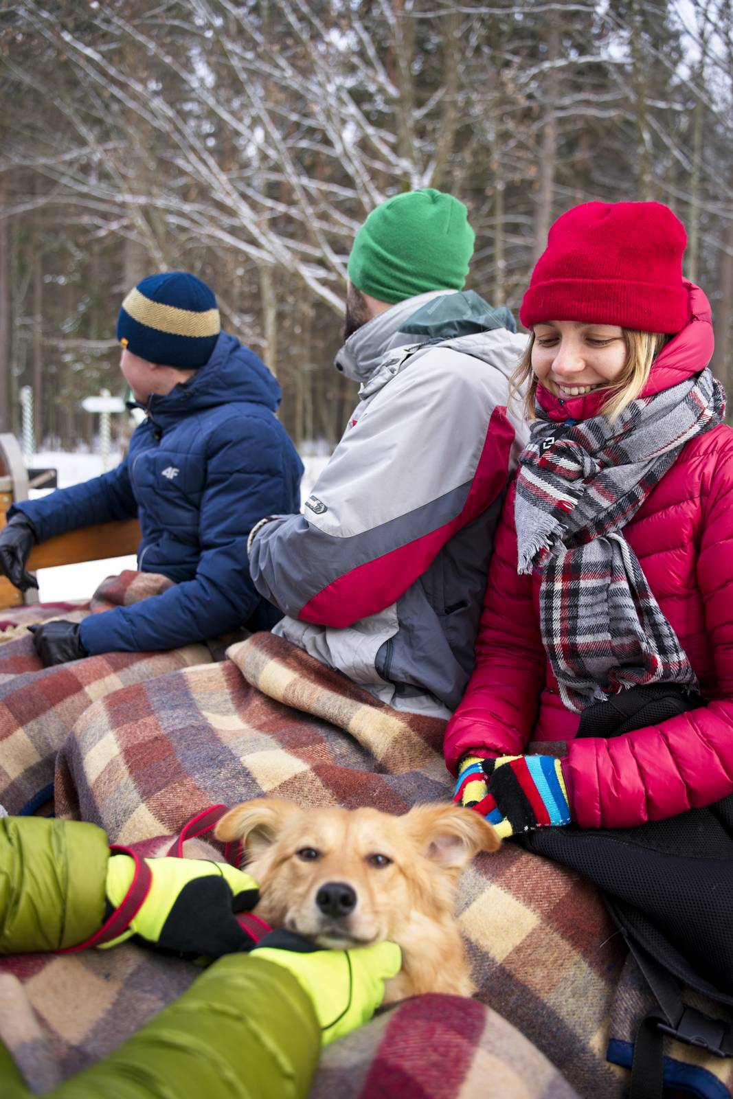 Sleigh ride poland bialowieza