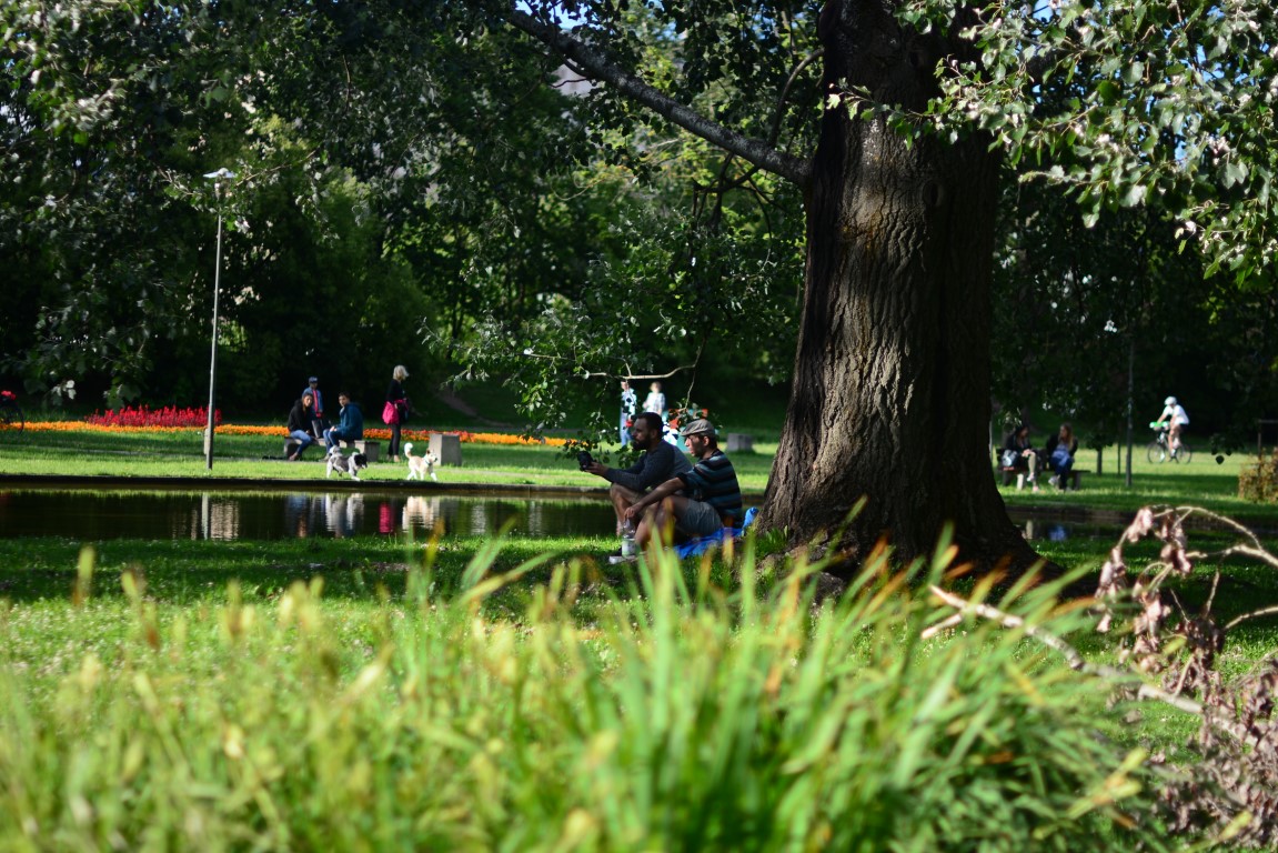 things to do in warsaw parks pola mokotowskie