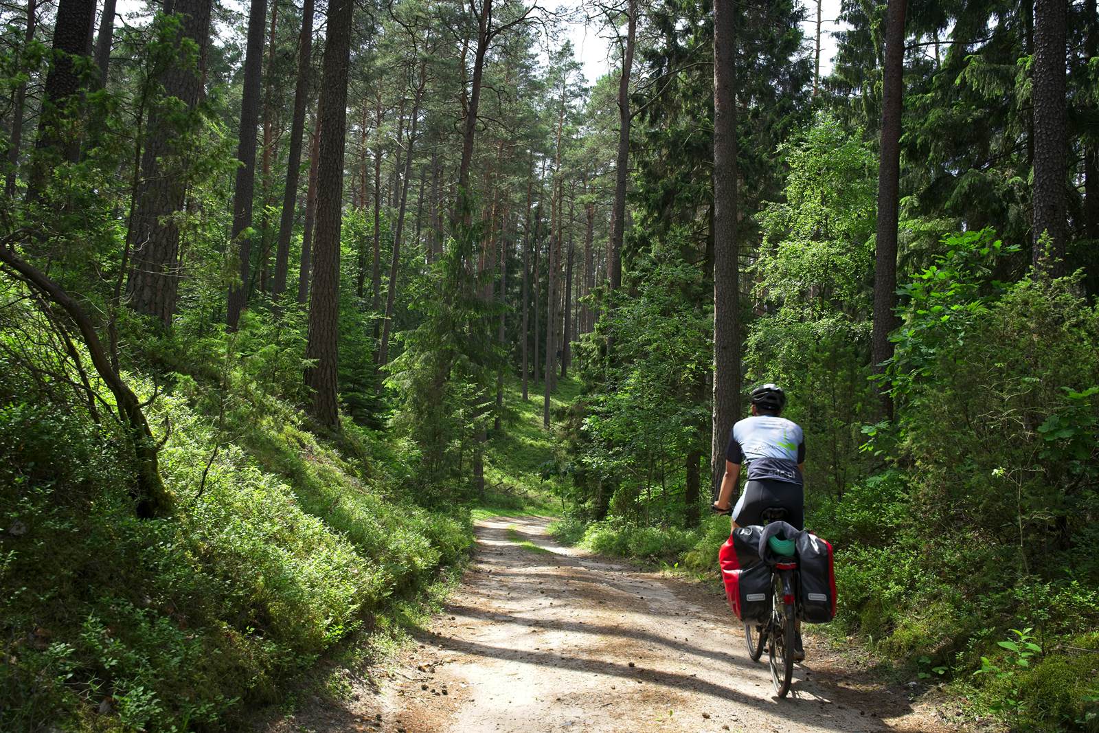 biking in mazury warmia forest łajs