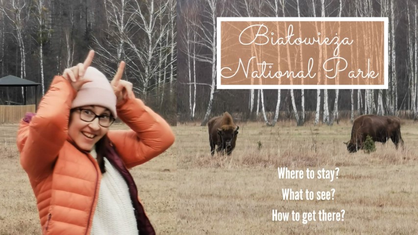 bialowieza national park attractions accommodation